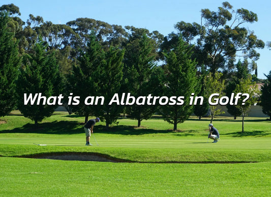 Albatross in Golf