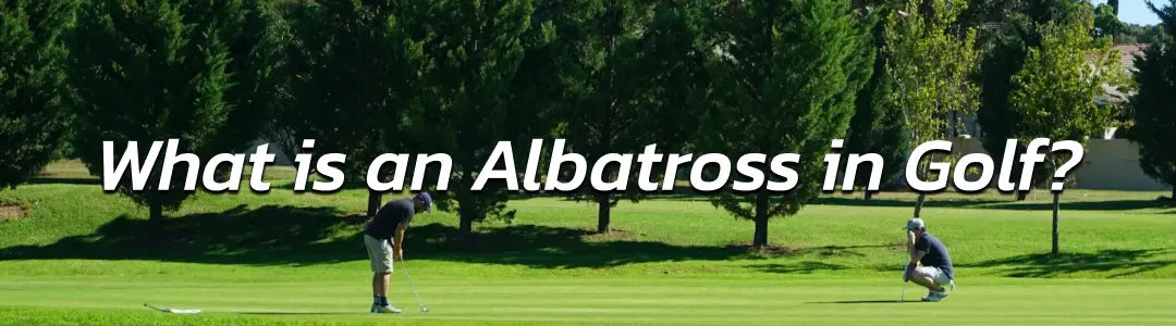 albatross-golf