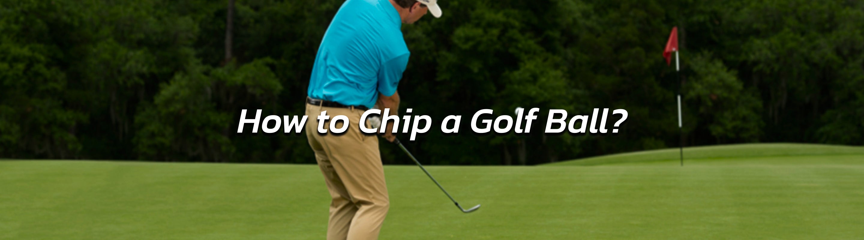 chip golf